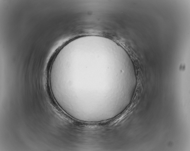 X0000097300342200803071757