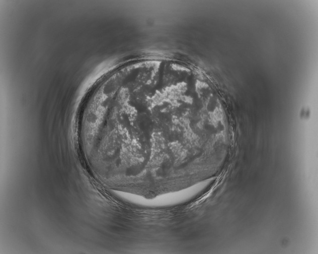 X0000097300343200803071757