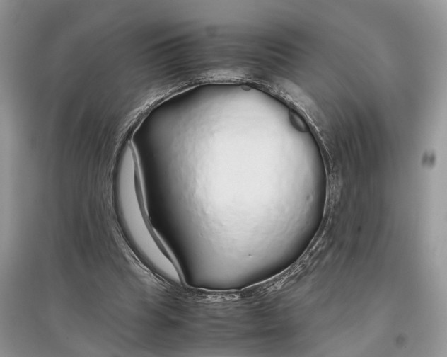 X0000097300345200803071757