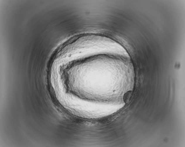 X0000097300346200803071757