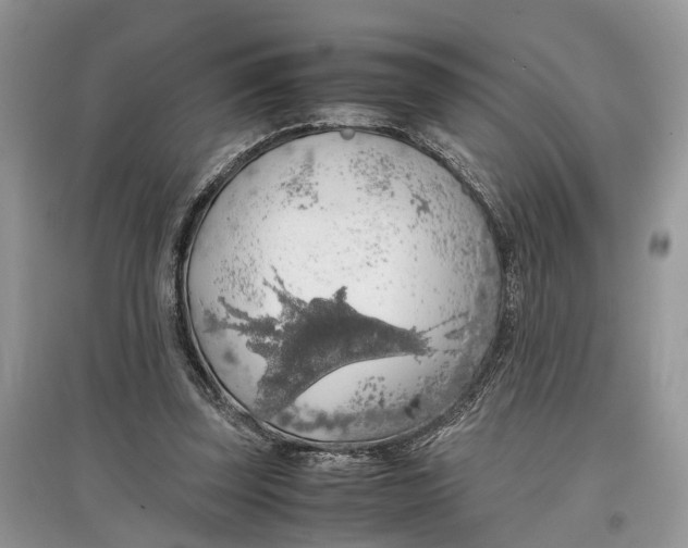 X0000097300347200803071757