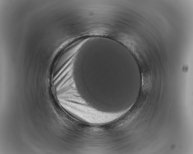 X0000097300348200803071757