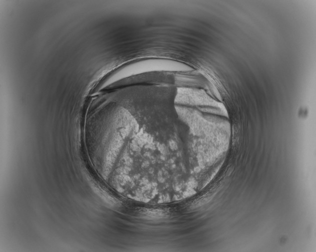 X0000097300349200803071757