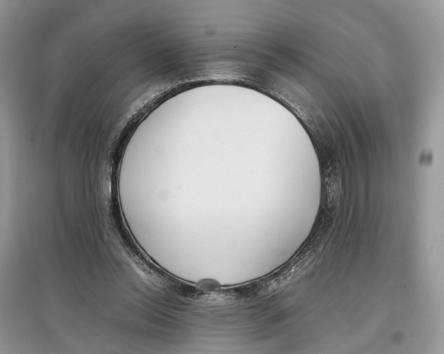 X0000097300350200803071757