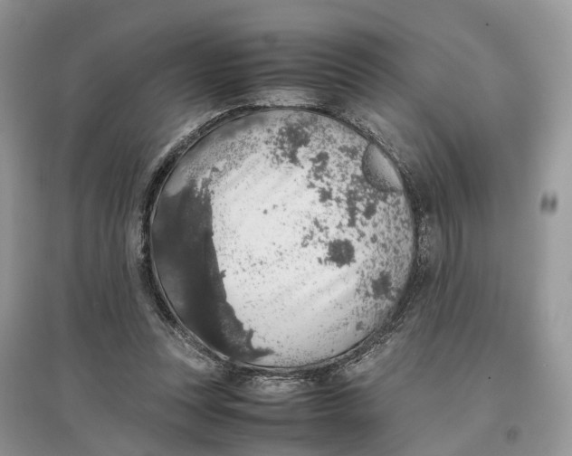 X0000097300351200803071757