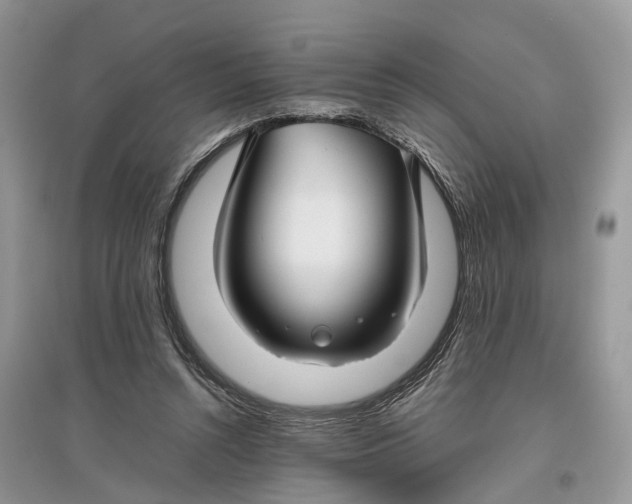 X0000097300352200803071757