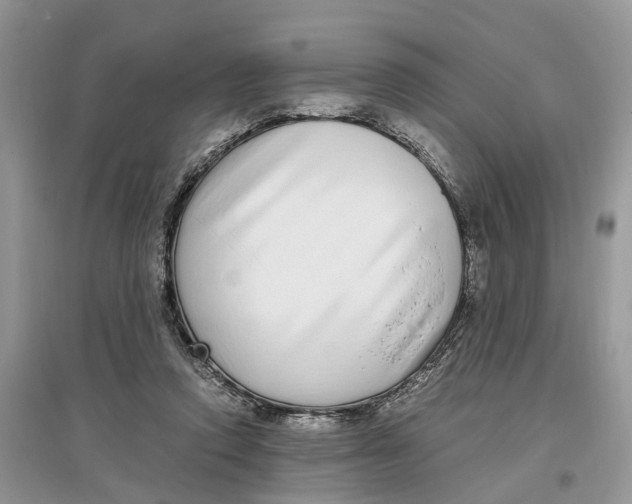 X0000097300354200803071757