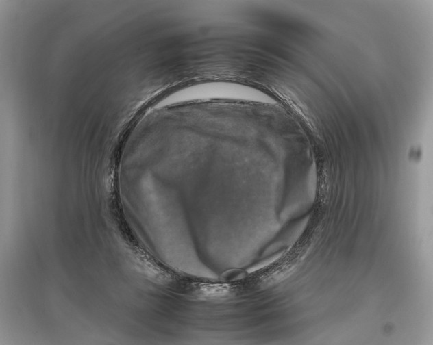 X0000097300355200803071757