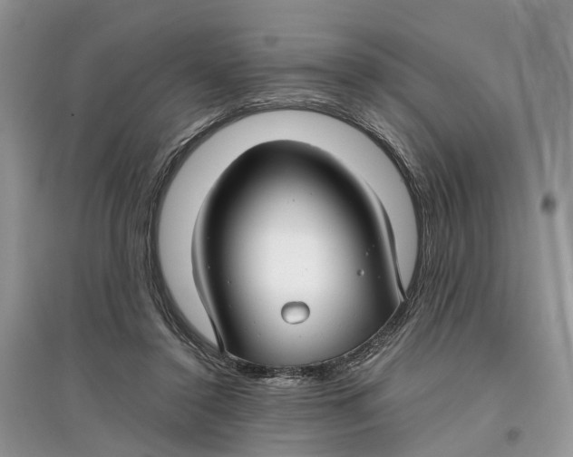 X0000097300356200803071757