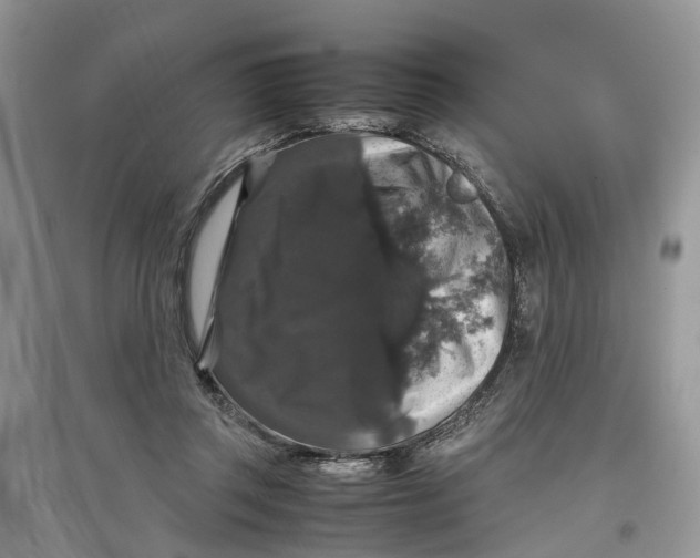 X0000097300357200803071757