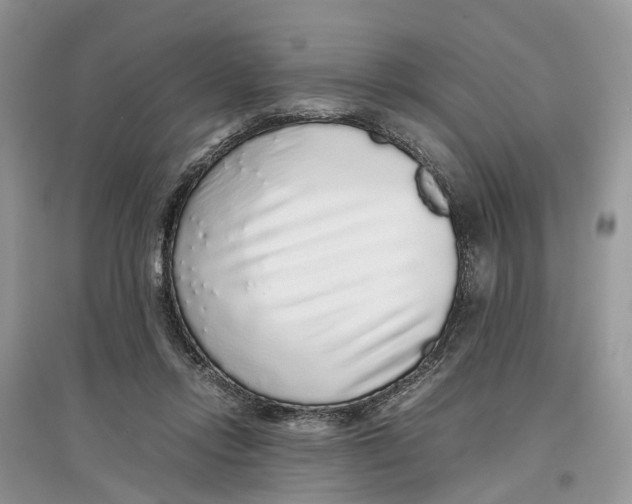 X0000097300358200803071757