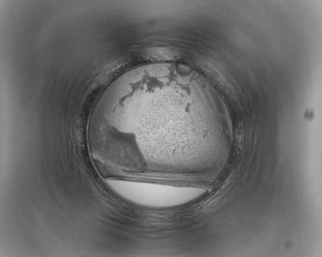 X0000097300359200803071757