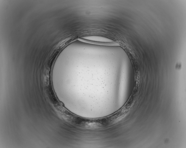 X0000097300360200803071757