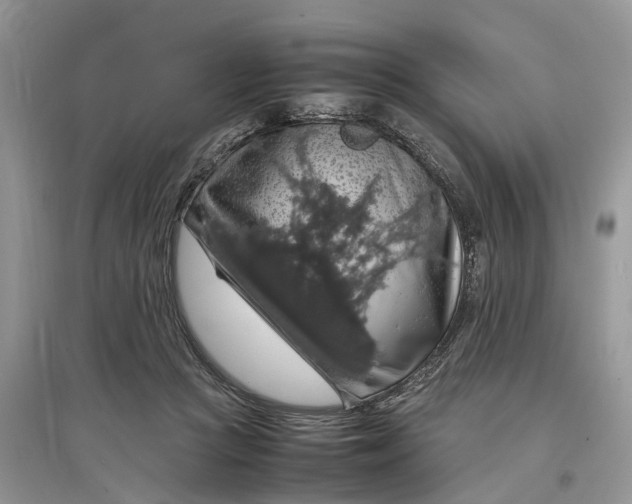 X0000097300361200803071757