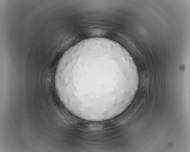 X0000097300363200803071757