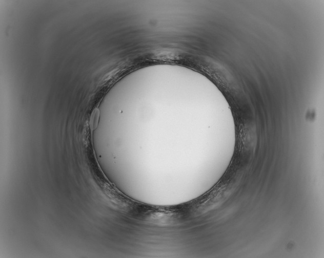 X0000097300364200803071757