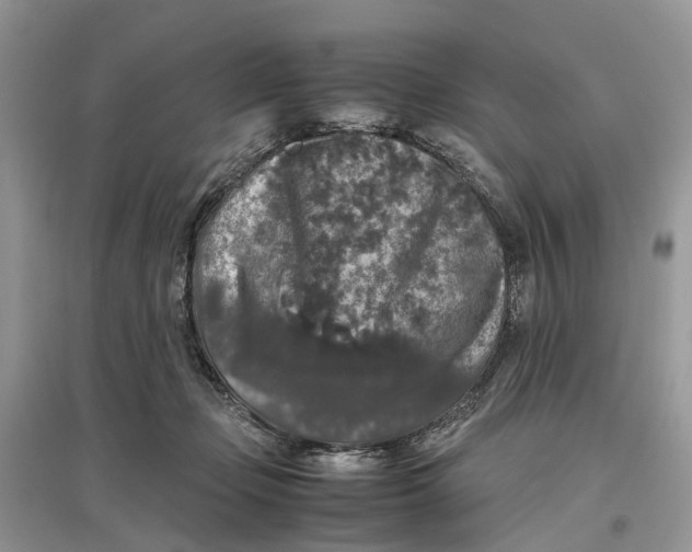 X0000097300365200803071757