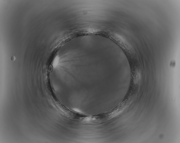 X0000097300366200803071757