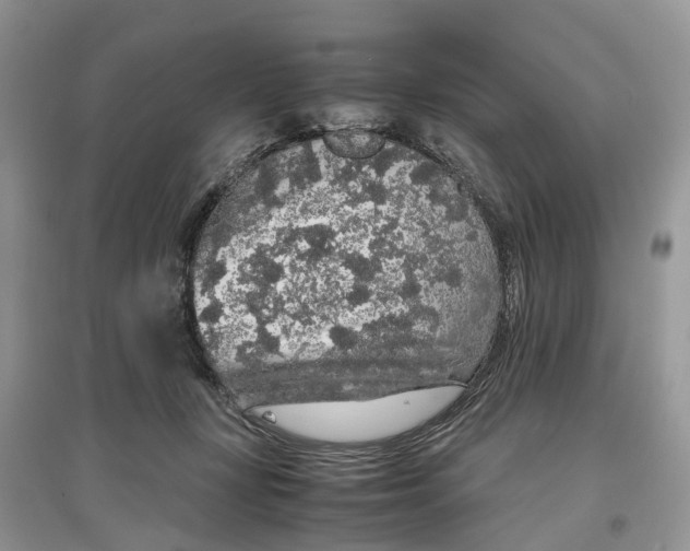 X0000097300367200803071757