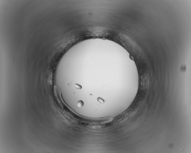 X0000097300368200803071757