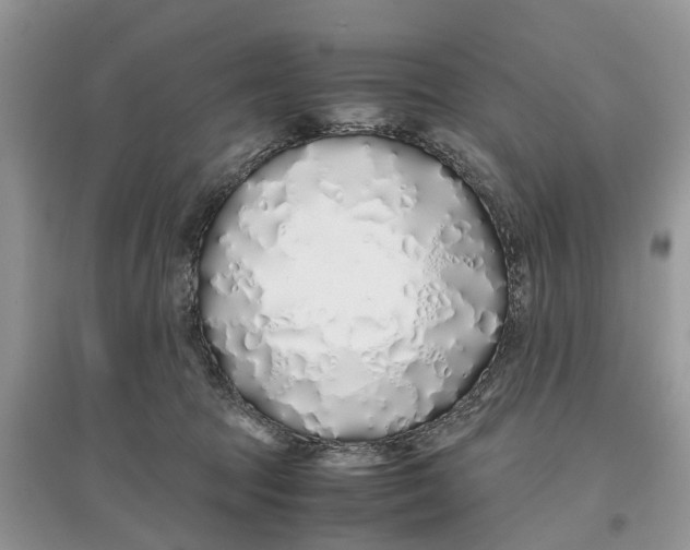 X0000097300369200803071757