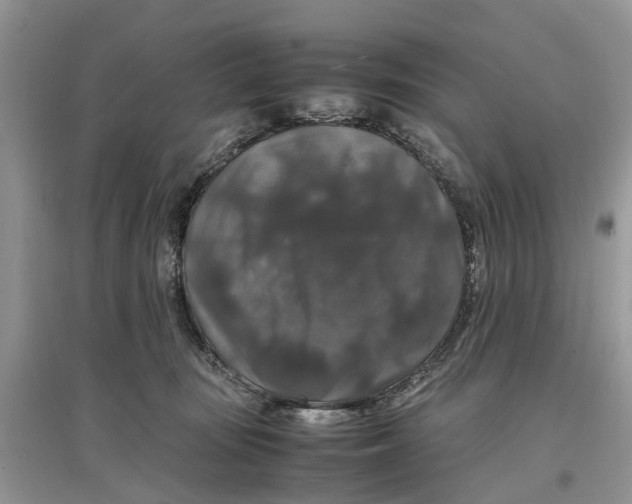 X0000097300371200803071757