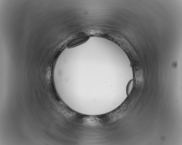 X0000097300372200803071757