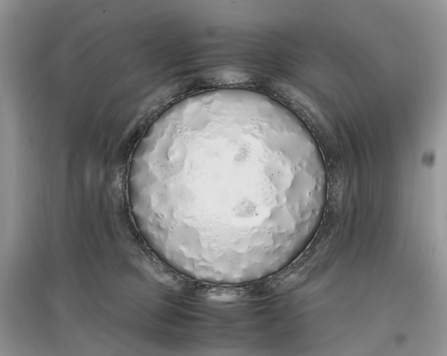 X0000097300373200803071757