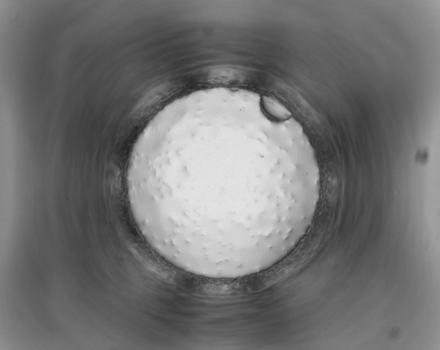 X0000097300375200803071757