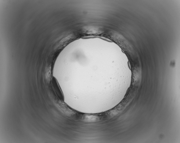 X0000097300376200803071757