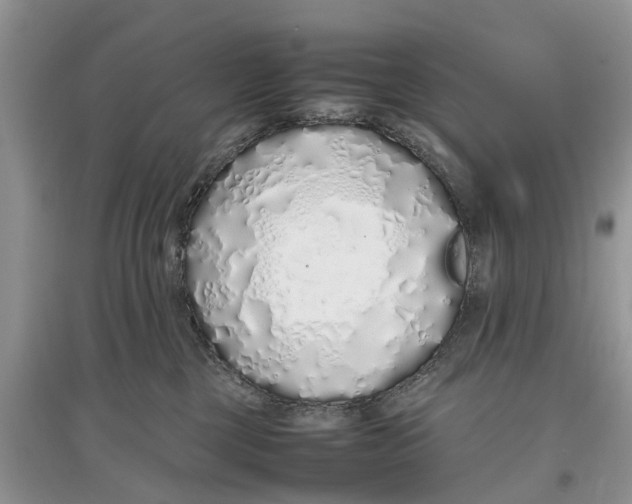 X0000097300377200803071757