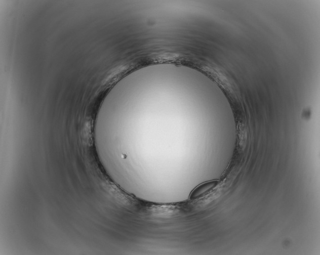 X0000097300378200803071757