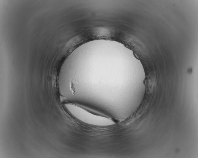 X0000097300379200803071757