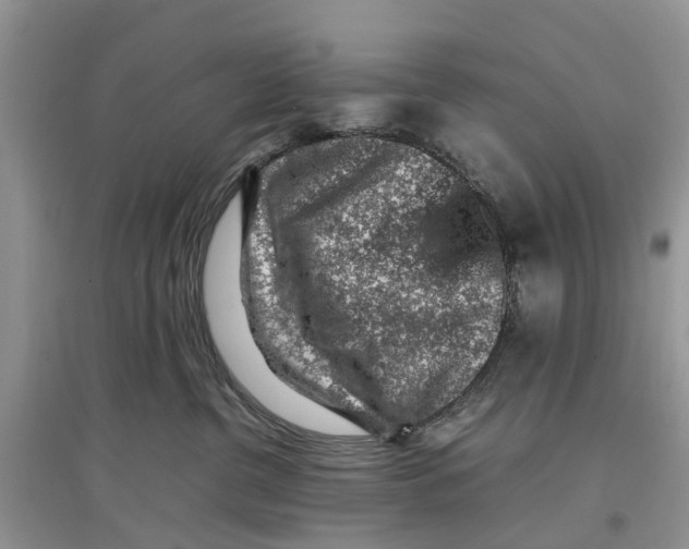 X0000097300380200803071757