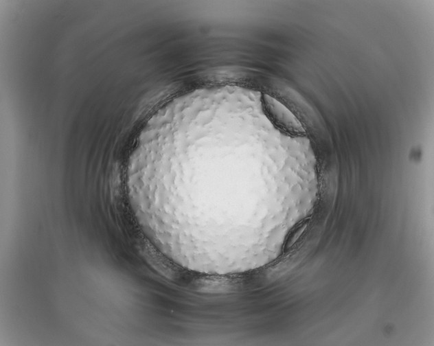 X0000097300381200803071757