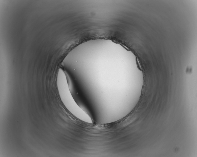 X0000097300384200803071757