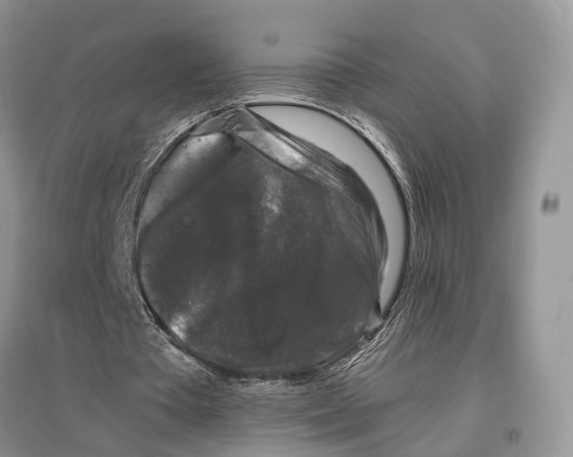 X0000097300385200803071756