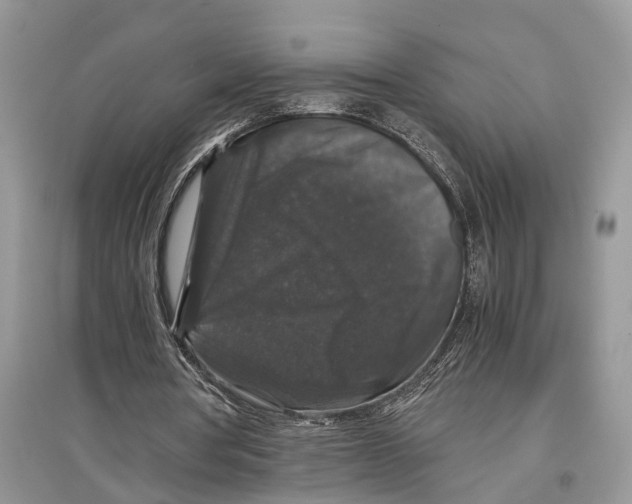 X0000097300386200803071756