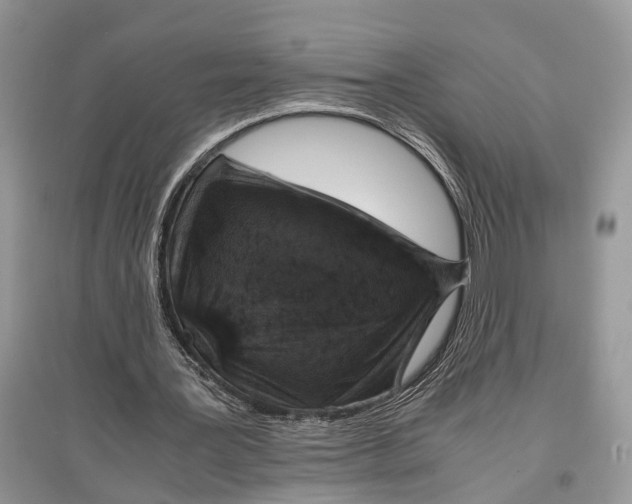 X0000097300387200803071756