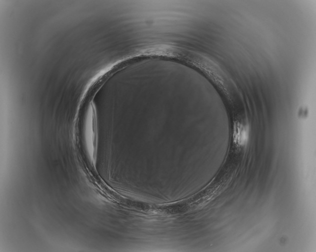 X0000097300388200803071756