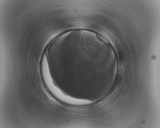 X0000097300389200803071756