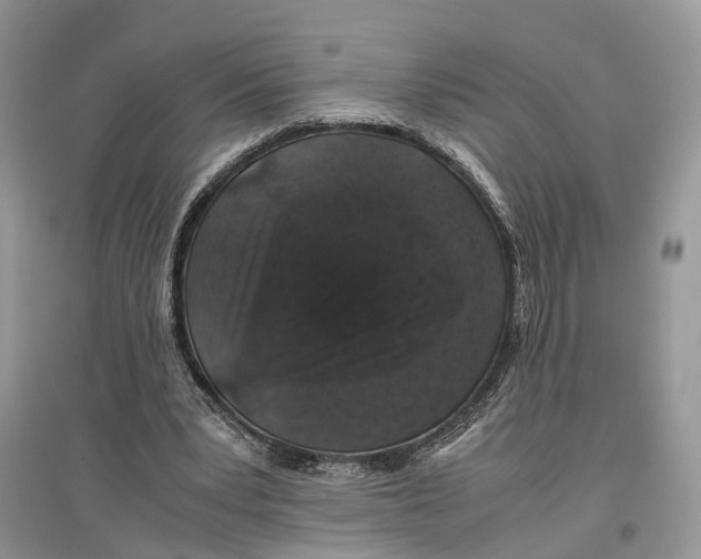 X0000097300391200803071756