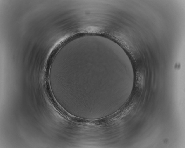 X0000097300392200803071756