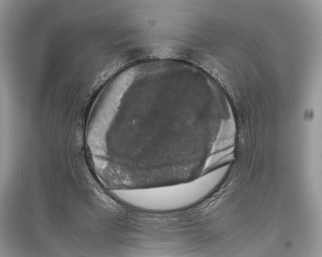 X0000097300393200803071756