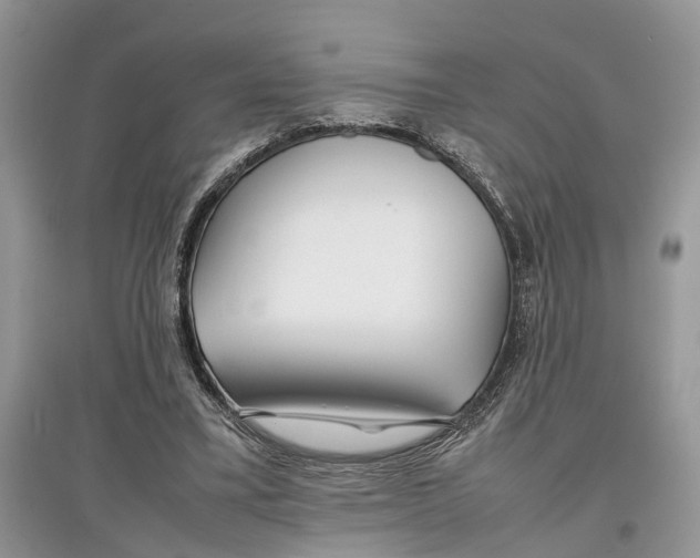 X0000097300395200803071756