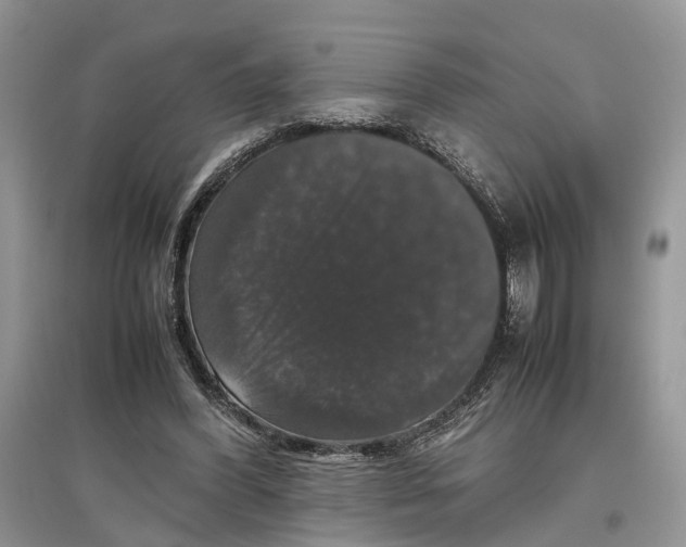 X0000097300396200803071756