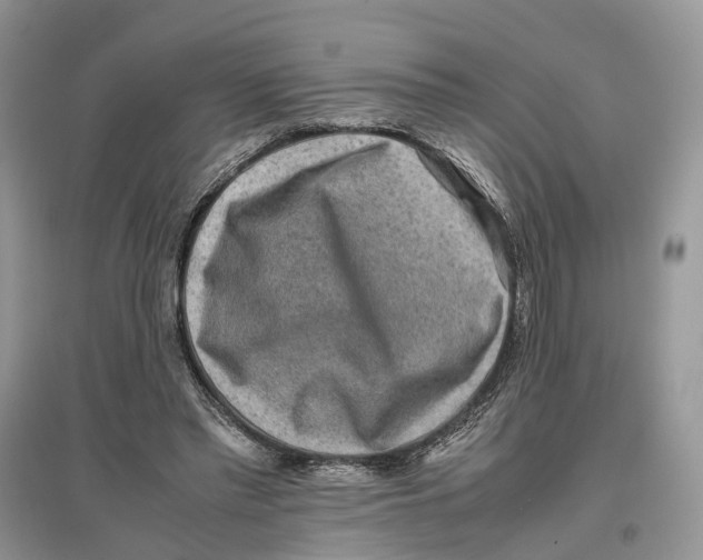 X0000097300397200803071756