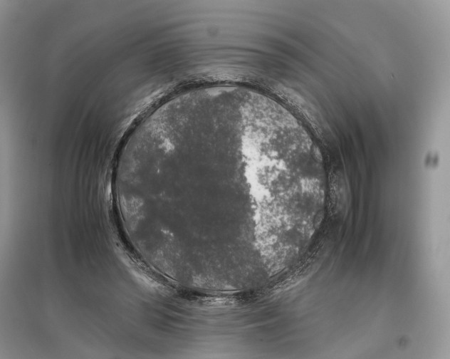 X0000097300398200803071756