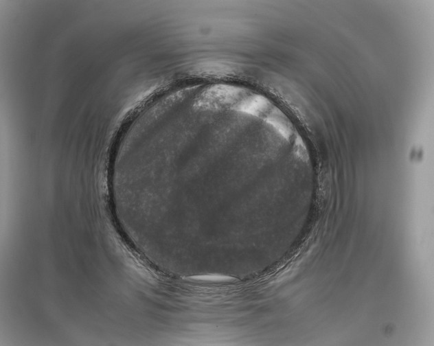 X0000097300399200803071756