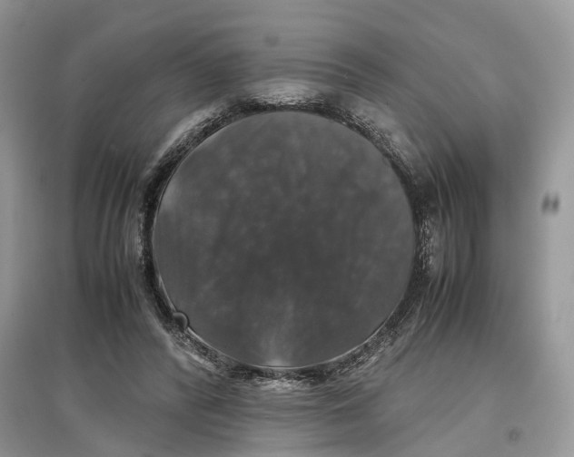 X0000097300400200803071756